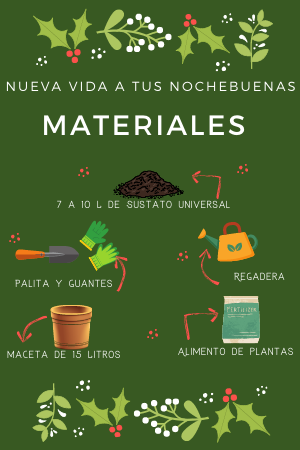 Materiales para trasplante de nochebuena