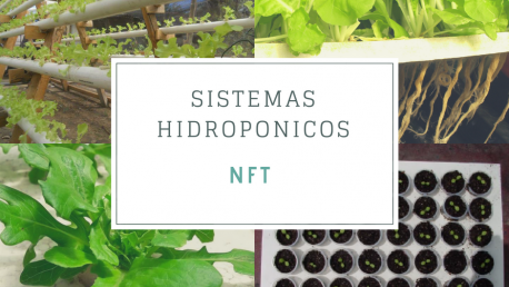 como-funciona-un-sistema-hidroponico-nft