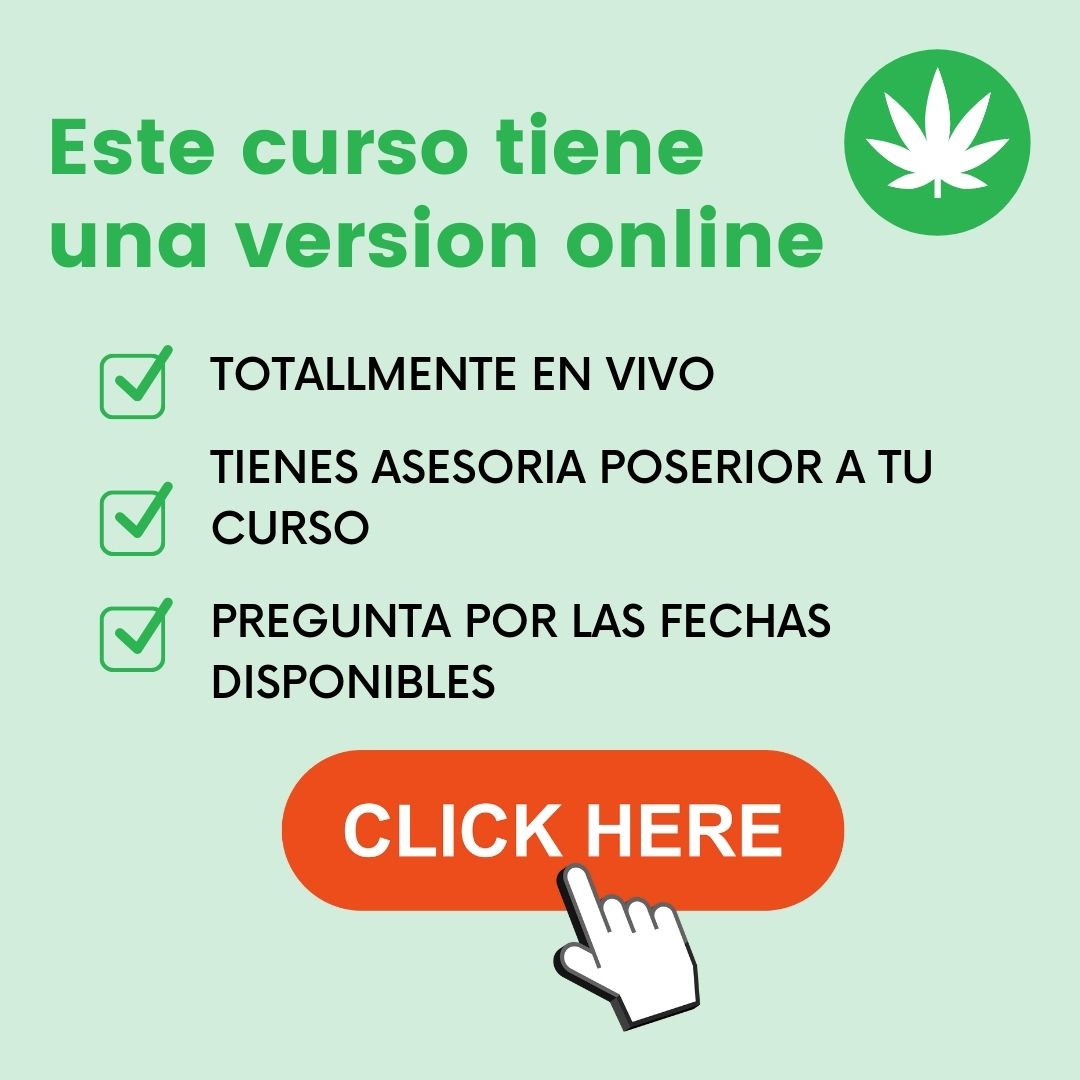 curso autocultivo on line mexico