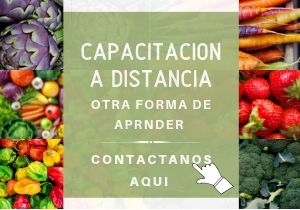 capacitacion