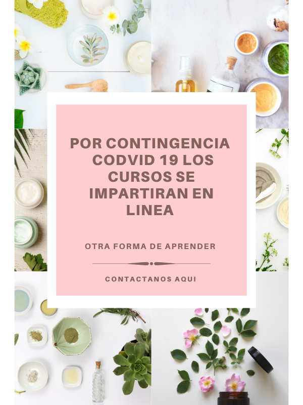 curso en linea productos herbolarios