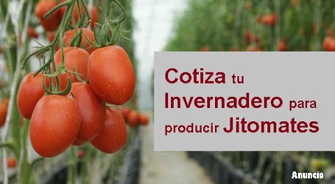 invernaderos paraproducir jitomate