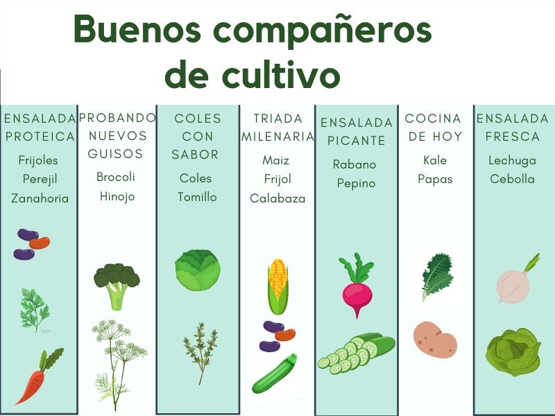 rotacion cultivos beneficios