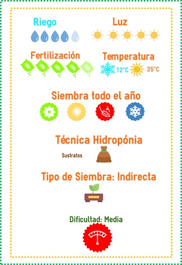 venta semilla frijol ejotero
