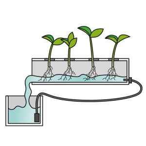 sistema-hidroponico-casero