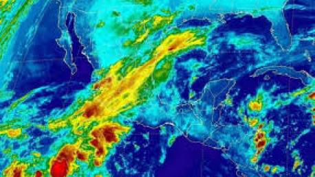 El control de clima en los invernaderos