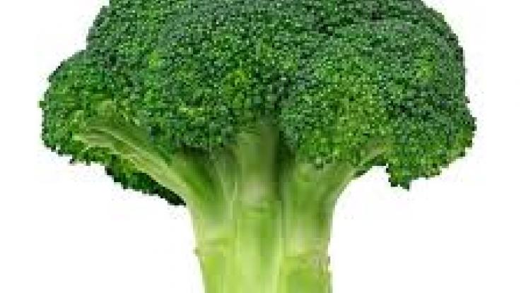 semillas de brocoli venta en df