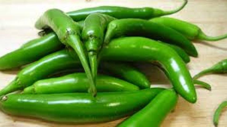 precio de semilla de chile serrano df