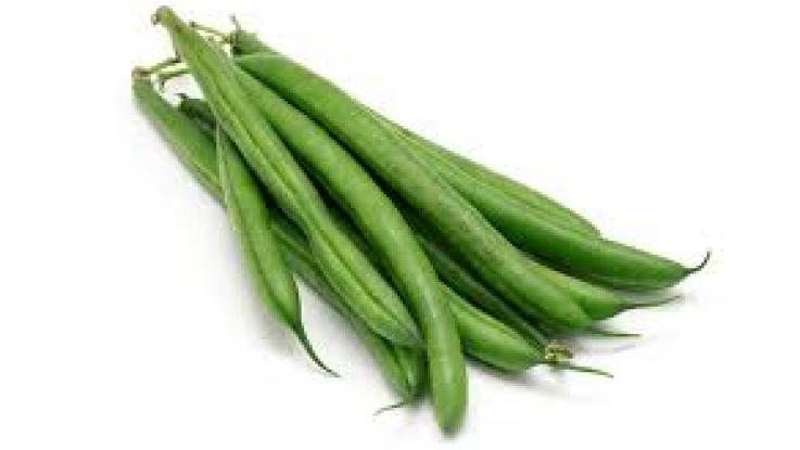 venta semilla frijol ejotero df