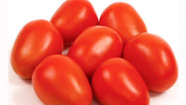 venta semillas jitomate saladette