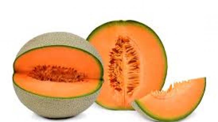 semilla melon precio