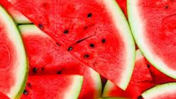 venta semilla sandia 