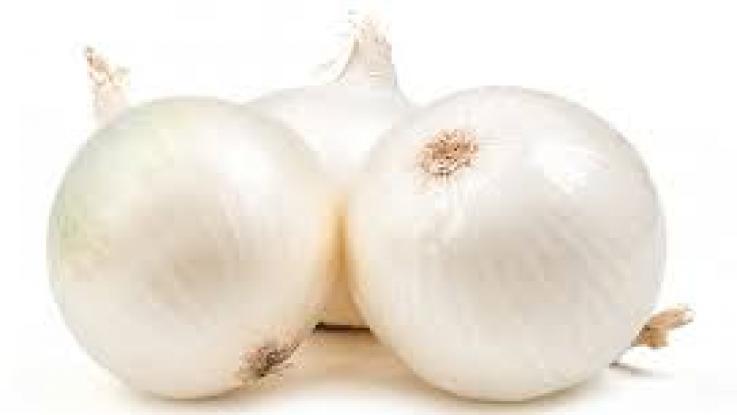 semilla de cebolla blanca venta en df, semilla de cebolla precio 