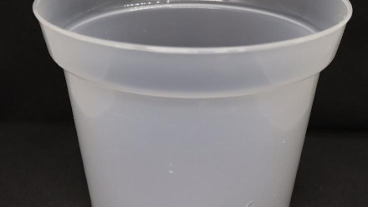 Maceta grande para orquideas, redonda de 5 lts.