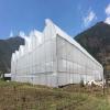 Invernadero de 1000 m2 para jitomate