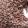 semilla de linaza exfoliante natural para jabones artesanales