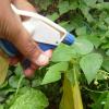 Insecticidas y plaguicidas